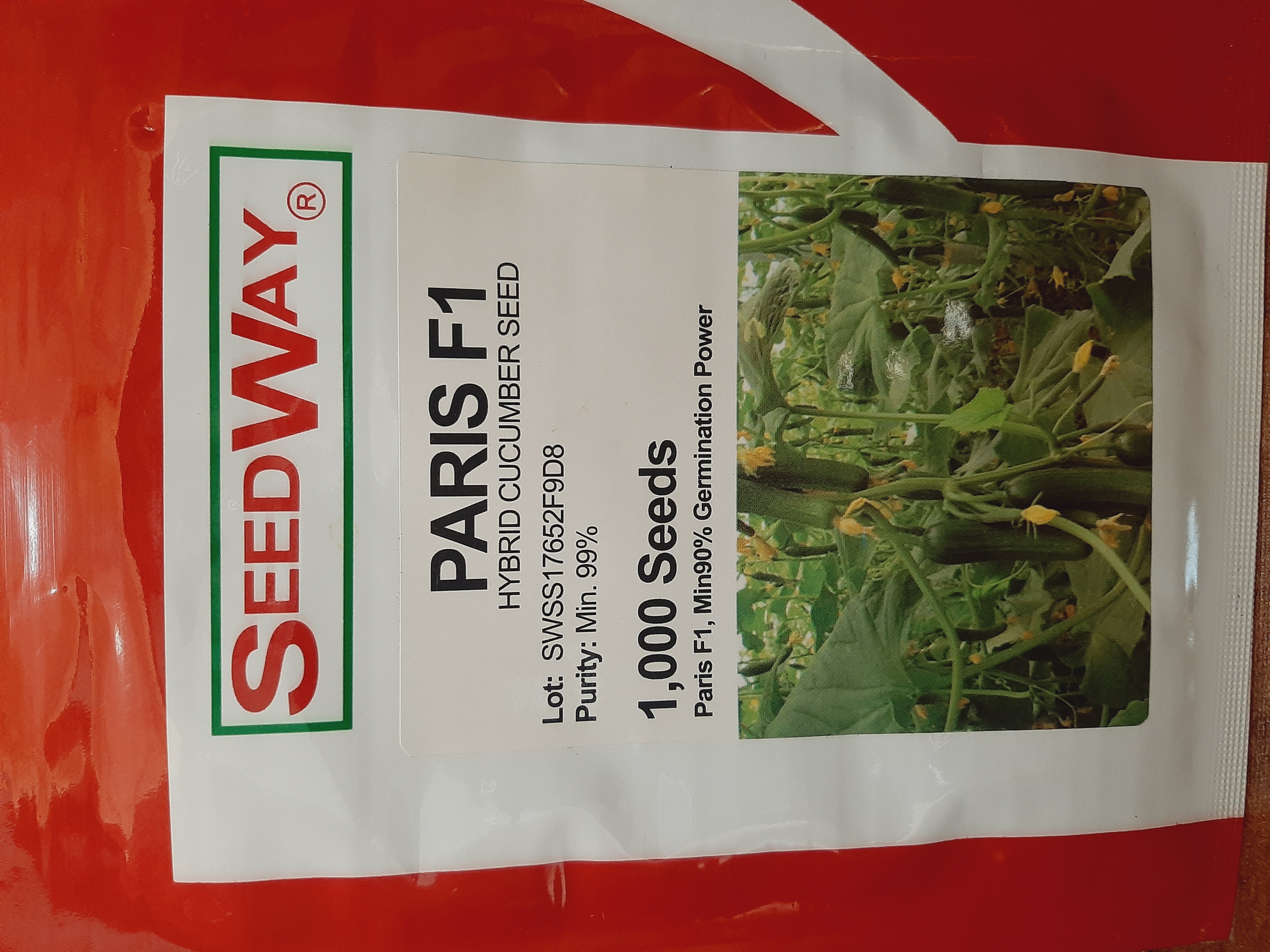 بذر خیار گلخانه ای پاریس بوته خیار گلخانه ای قوی و مقاوم  محصول خیار کشیده وشیاردار  خیار پرگل ۳ تا ۴ میوه در هر گره  رقم مشابه و رقیب داتیس  بسته های ۱۰۰۰ عددی بذر خیار