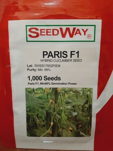 بذر خیار گلخانه ای پاریس بوته خیار گلخانه ای قوی و مقاوم محصول خیار کشیده وشیاردار خیار پرگل ۳ تا ۴ میوه در هر گره رقم مشابه و رقیب داتیس بسته های ۱۰۰۰ عددی بذر خیار
